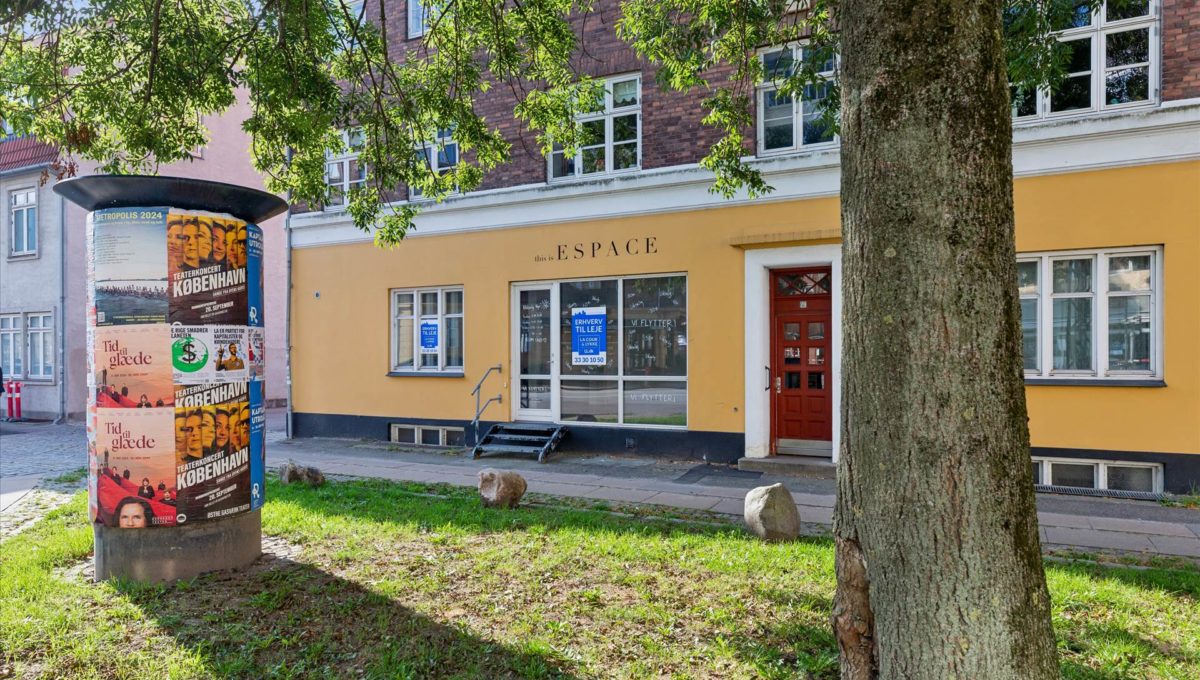 115845506 - Annexstræde 29, st. tv.