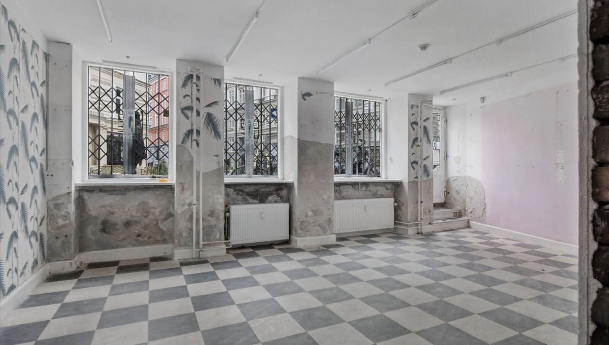 115846055 - Birkegade 1, kld. th.