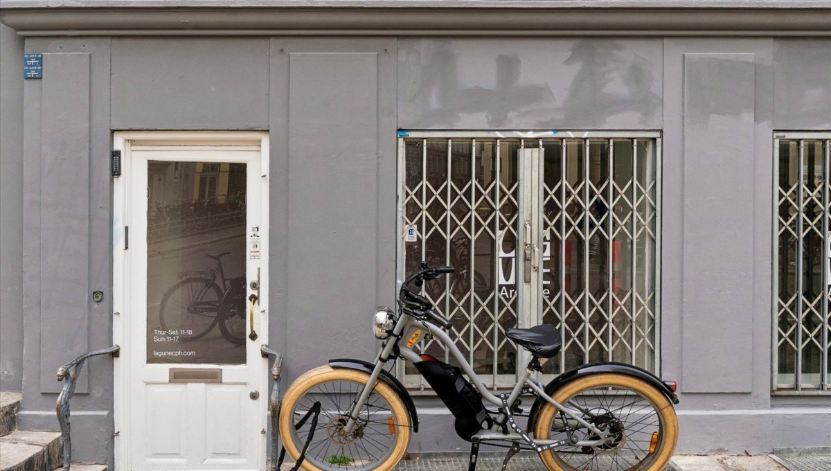 115846055 - Birkegade 1, kld. th.